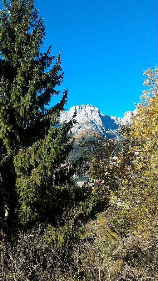 Apartamento Balcone Sulle Dolomiti 2 Dosoledo Exterior foto