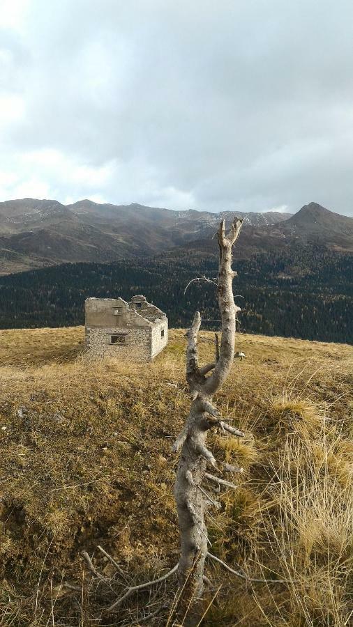Apartamento Balcone Sulle Dolomiti 2 Dosoledo Exterior foto